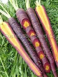 I Can T Believe The Color Display Of This Cosmic Purple Carrot Why Are We Brainwashed As Kids To Only Rec Vegetable Seed Heirloom Seeds Heirloom Vegetables