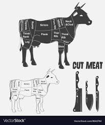 British Cuts Of Veal Beef Or Animal Diagram Meat