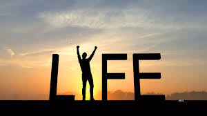 The 'How' And The 'Why' Of Life - Times of India