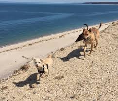 Maybe you would like to learn more about one of these? Pirate S Cove Port Jefferson Ny Time Flies And So Should You