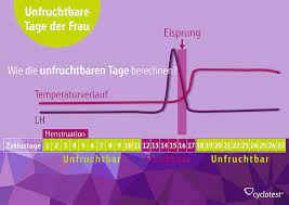 Zyklus 23 Tage Bodtingmicde