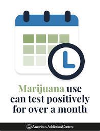 How Long Does Pot Stay In Your System