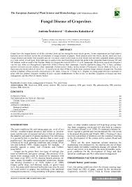 Image result for Metasphaeria diplodiella