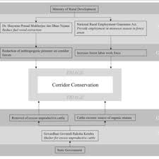 Pdf Triage In Conservation