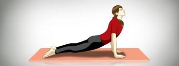 Urdhva Mukha Svanasana Yoga Poses Poses Yoga