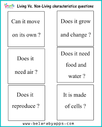 I just let them discuss their answers. Living Vs Nonliving Activities For Kindergarten Belarabyapps
