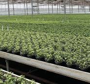 Hydro hints: Ebb and flow | OSU Extension Service