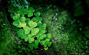 Obituary of Garry Curts