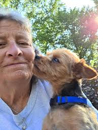 Kody has really settled into his foster home. He still loves laps, and has  started to play with squeaky toys and even plays fetch with a ball. He's  good with the other