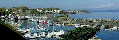 Port De Grave Newfoundland Newfoundland And Labrador Summer Travel Newfoundland