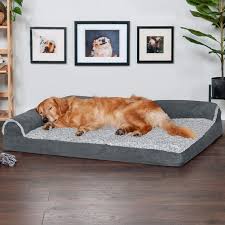 Wild one also sells accessories for your dog, including a food bowl, and conditioning. The 12 Best Dog Beds Of 2021 Hgtv