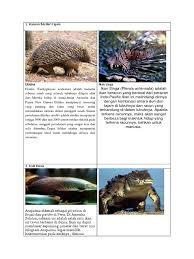 Check spelling or type a new query. Scrapbook Pengelasan Haiwan Darjah 4
