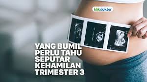 Ada dua jenis ukuran bata misalkan kita ingin membuat pagar dengan panjang 8 m dan tinggi 2m, berapa kebutuhan material. Hal Hal Yang Harus Diperhatikan Saat Usg Trimester 3