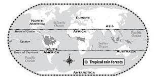 We know that earth is divided into longitudes and latitudes. Latitude S And Longitude S Tropical Rainforest Environmental Educators