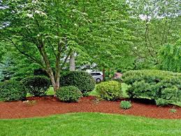 Entretien Parc Et Jardin A Palaiseau Et Dans Toute L Essonne