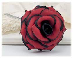 Red and black flowers pics. Black Tipped Red Rose Hair Flowers Black And Red Flowers Stranded Treasures