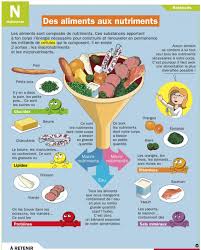 Pin On Digestive Health