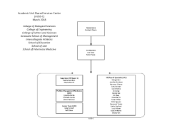 Academic Unit Shared Services Center Aussc Organizational