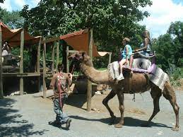 Catoctin Wildlife Preserve And Zoo In Thurmont Maryland All I Can Say Is As Close To A Safari That We Will Ev Wildlife Preserve Thurmont Maryland Ocean City