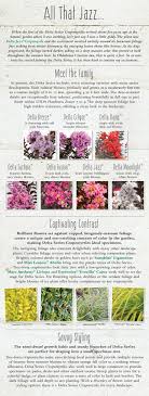 Pin On Plant Combos