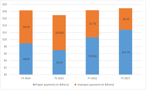 Oig Analysis Of Cert Audits Of High Risk Hhas Liles Parker