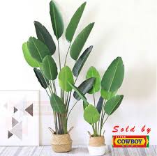 Maybe you would like to learn more about one of these? Artificial Banana Leaf Plant Skybird Pokok Pisang Palsu Artificial Plant Pasu Deco Mini Travellers Pokok Deko