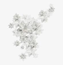 Explore and download more than million+ free png transparent images. Fiori Bianchi Png Png Image Transparent Png Free Download On Seekpng