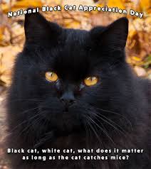 The next stage is darararah. Free National Black Cat Appreciation Day Clipart Animations Happy Black Cat Appreciation Day