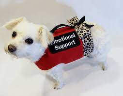 If you are suffering from trauma or stress due to a genetic or psychological condition or situation, you should consider registering your pet as an esa and then scheduling a session with a therapist. Hud Expected To Issue Revised Guidance On Requests For Emotional Support Animals Florida Hoa Lawyer Blog May 25 2018
