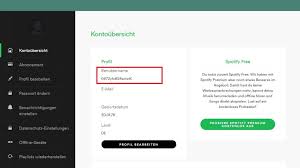 Wählen sie die option abo ändern. Spotify Benutzername Andern Das Musst Du Wissen