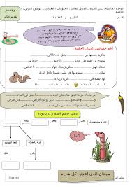 ورقة عمل فردي تقويم ختامي