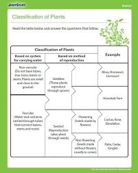 Classification Of Plants 4th Grade Science Plant