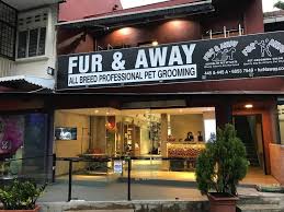 Maybe you would like to learn more about one of these? Fur Away Pet Grooming Salon Pte Ltd Home Facebook