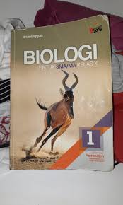 Siswa yang mana buku ini merupakan buku kurikulum 2013 edisi revisi tahun 2016. Download Buku Biologi Kelas 10 Kurikulum 2013 Penerbit Erlangga Cara Golden