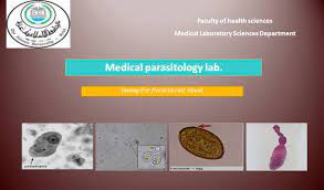 What are the prospects for alternatives in the near future? Medical Parasitology