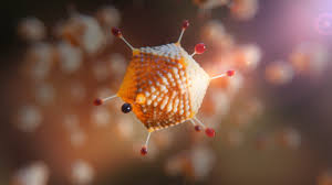 Automatischer erkennung von chartformationen, wichtigen kennzahlen wie hoch, tief, volumen. Astra Zenecas Covid 19 Vakzine Schutzwirkung Bis Zu 90 Prozent Mit Vektor Pz Pharmazeutische Zeitung