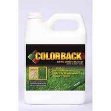 Colorback 32 Oz Green Grass Mulch Dye Concentrated In The Pine Needle Mulch Dyes Department At Lowes Com