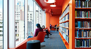 Fostering Social Justice At Adler University Remi Network