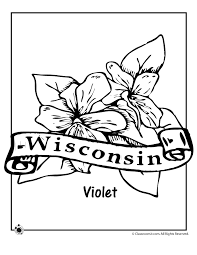 Pictures of wisconsin coloring pages and many more. Wisconsin State Flower Coloring Page Woo Jr Kids Activities