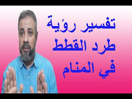 تفسير حلم رؤية طرد القطة من البيت في المنام اسماعيل الجعبيري Youtube