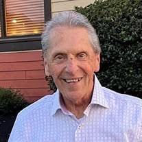 Raymond "Ray" Popec Obituary (2023)