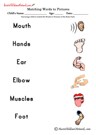 Child identify each picture and match with its name card. Pin On Human Body Senses