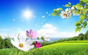 Download Free Wallpapers Online In 2021 Nature Desktop Wallpaper Hd Nature Wallpapers Wallpaper Nature Flowers