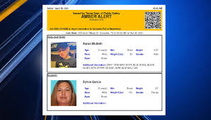 Handout / amber alert ontario. Amber Alert Issued For 12 Year Old Boy Out Of Gonzales Texas Kveo Tv