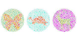 Then i know which token is mine, but i still may not be able to tell the other players' tokens apart during the game. How The Red Green Colorblind Tests Works For Kids Iristech