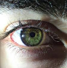 Akberovaulish Adli Kullanicinin Oblivion Panosundaki Pin Yesil Gozler Goz Rengi Gozler