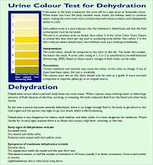 Free 8 Sample Urine Color Chart Templates In Pdf Ms Word