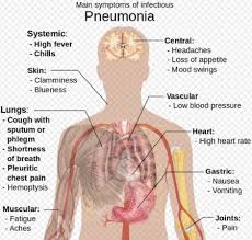 Diseases Caused By Microorganisms Pmf Ias