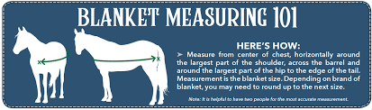 Horze avalanche medium weight turnout blanket. Winter Horse Blankets For Sale Shop Turnout Blankets Including Medium Weight Horse Blankets Foal Blankets At Nrs