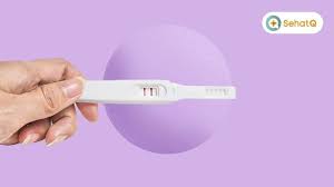Hcg terbentuk dalam tubuh wanita hanya setelah telur yang dibuahi menempel pada rahimnya. Mirip Haid Ini Ciri Ciri Hamil Seminggu Yang Sering Tidak Disadari